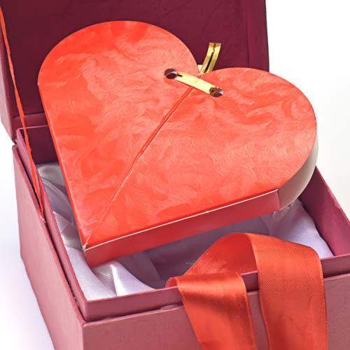 Hope for the Future on Valentine's Day Gifts